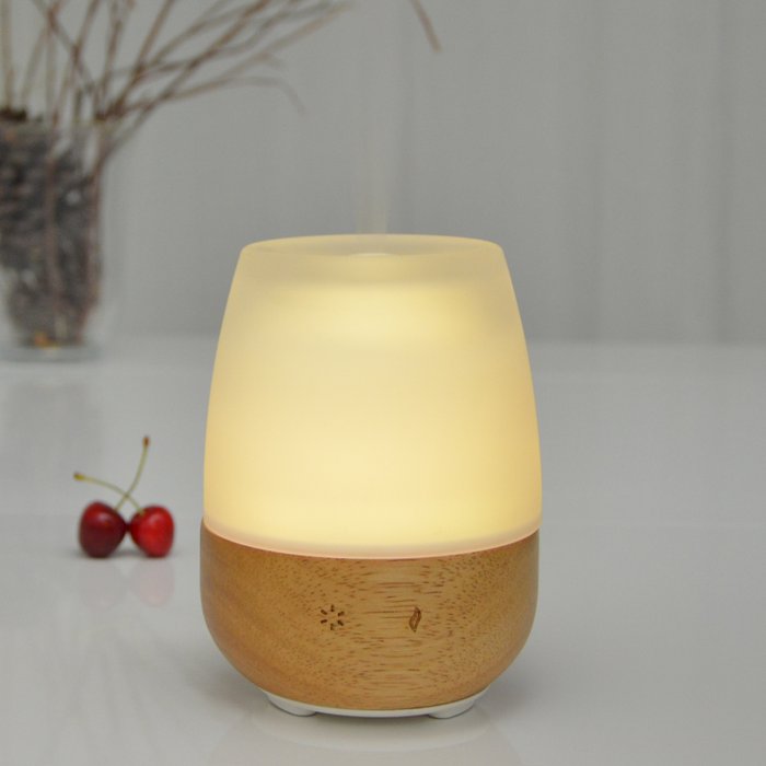 Frosted Glass And Wood Mist Diffuser